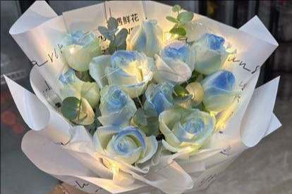 ��ݸ���Ż���