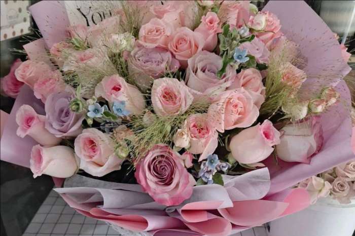 ��ݸ���Ż���