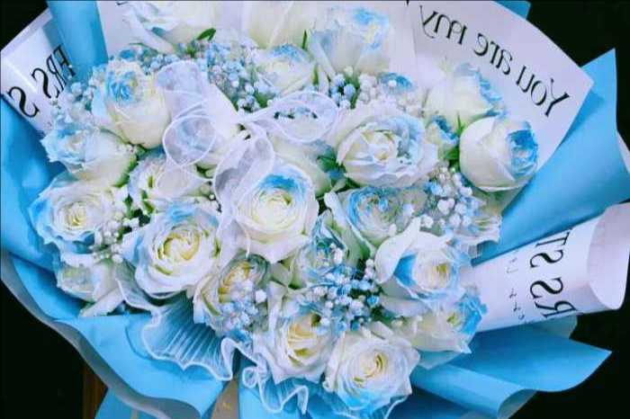 ��ݸ���Ż���