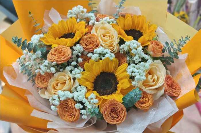 ��ݸ���Ż���