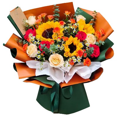 ��ݸ���Ż���